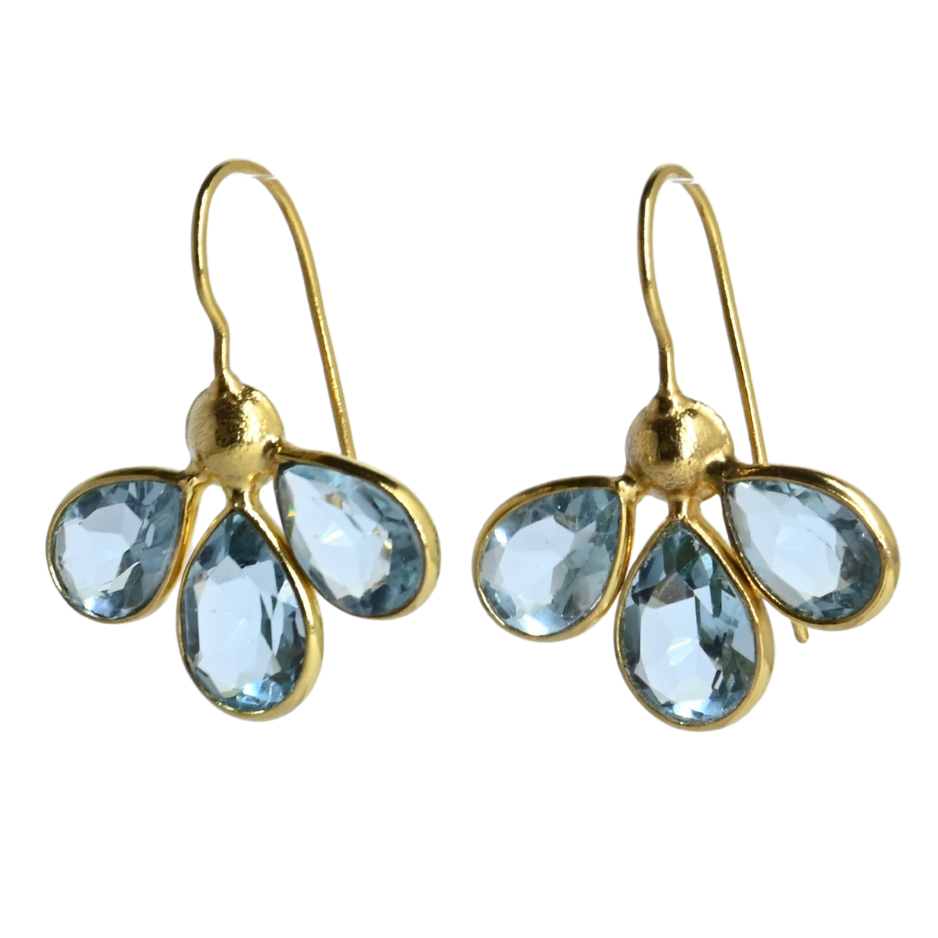Euro Gold Earrings A263