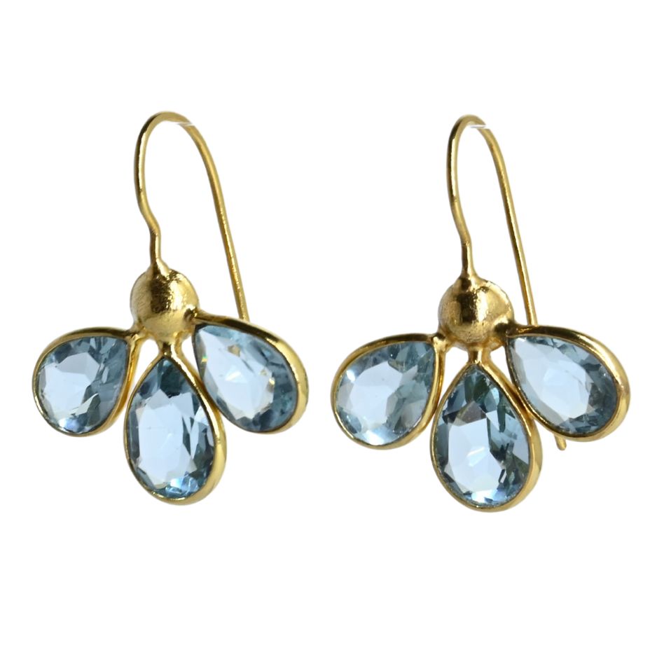 Euro Gold Earrings A263