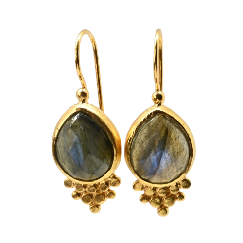 Euro Gold gemstone earrings - A238B