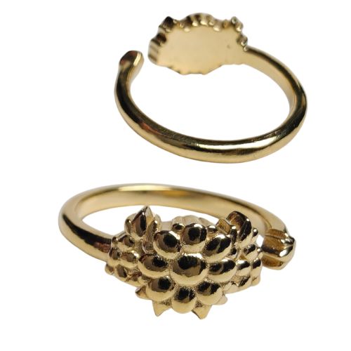 Fleur RBR22 Open sized ring