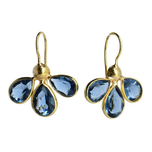 Euro Gold Earrings A263