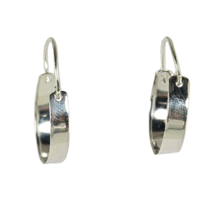Euro Silver Earrings IAE112220