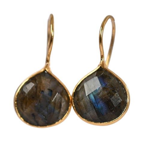 Euro Gold Gemstone Earring A356