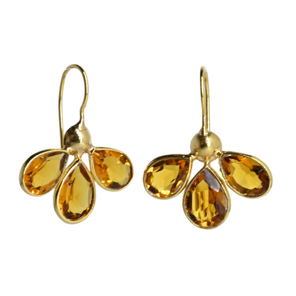 Euro Gold Earrings A263