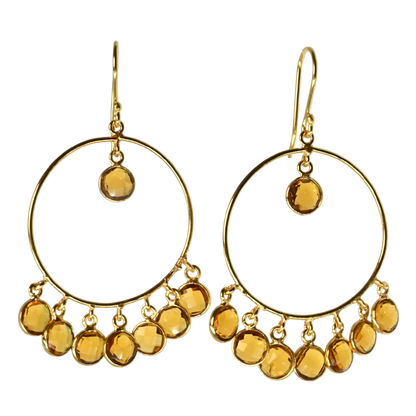 Euro Gold Earrings A262