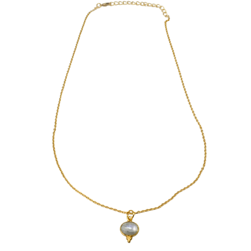 Euro Gold Necklace A53