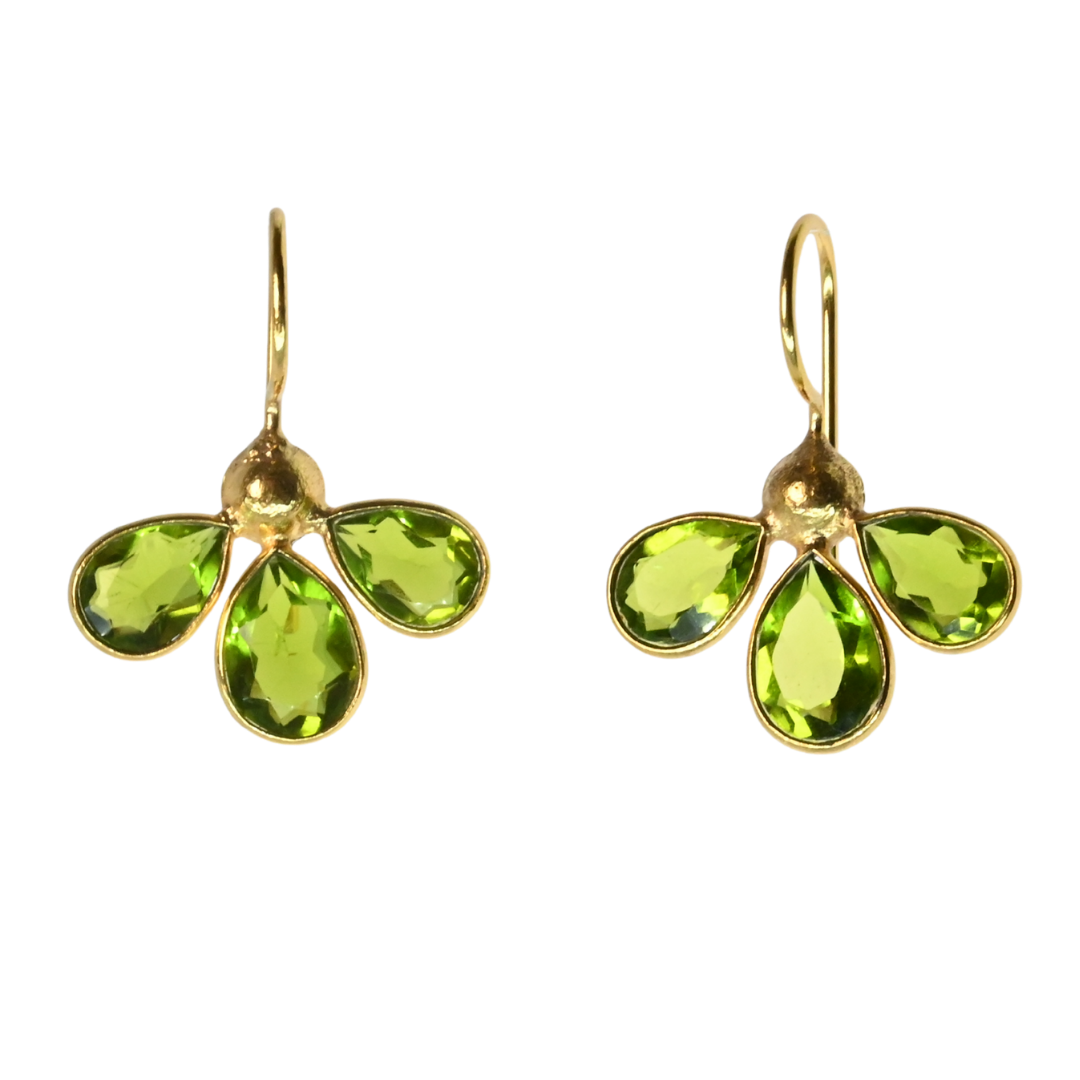 Euro Gold Earrings A263