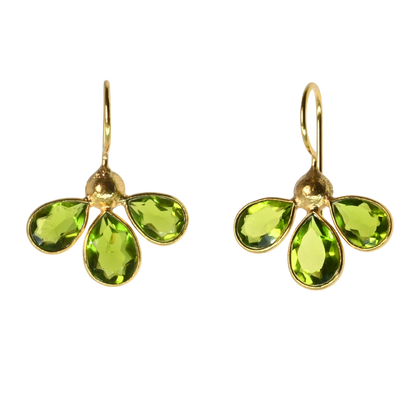 Euro Gold Earrings A263