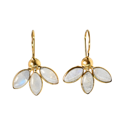 Euro Gold Earrings A263