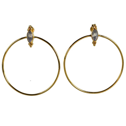 Euro Gold Earrings A30