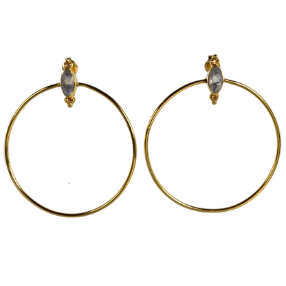 Euro Gold Earrings A30