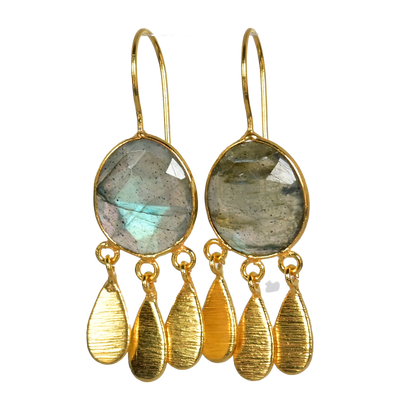 Euro Gold Earrings A36E