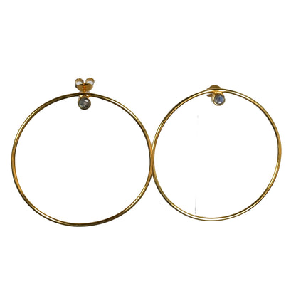 Euro Gold Earrings A30