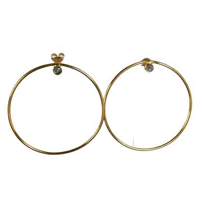 Euro Gold Earrings A30