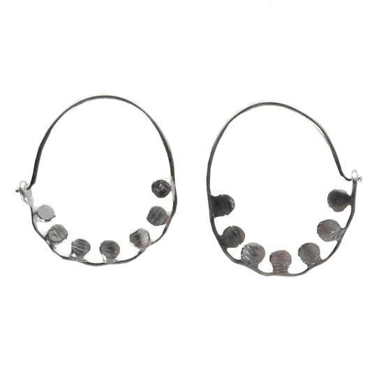 Euro Silver Earrings IAE2218