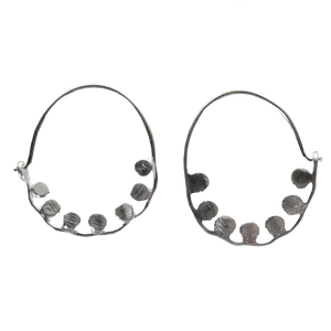 Euro Silver Earrings IAE2218