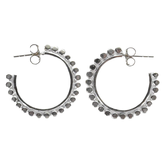 Sterling Silver Earrings IAE2229