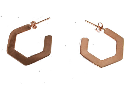 Euro  Rose Gold Earrings B92AR