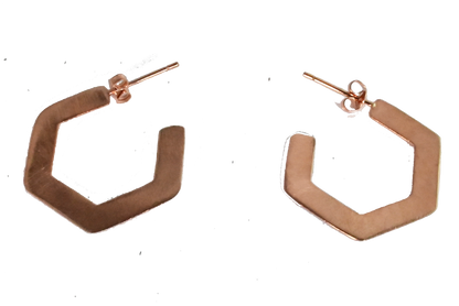 Euro  Rose Gold Earrings B92AR