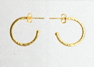Euro Gold  Earrings IEAG9
