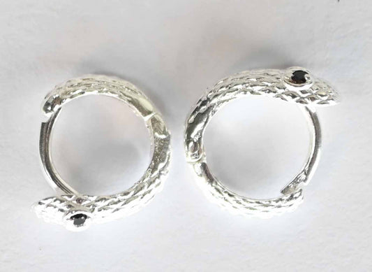 Sterling Silver Earring Hoops SS1