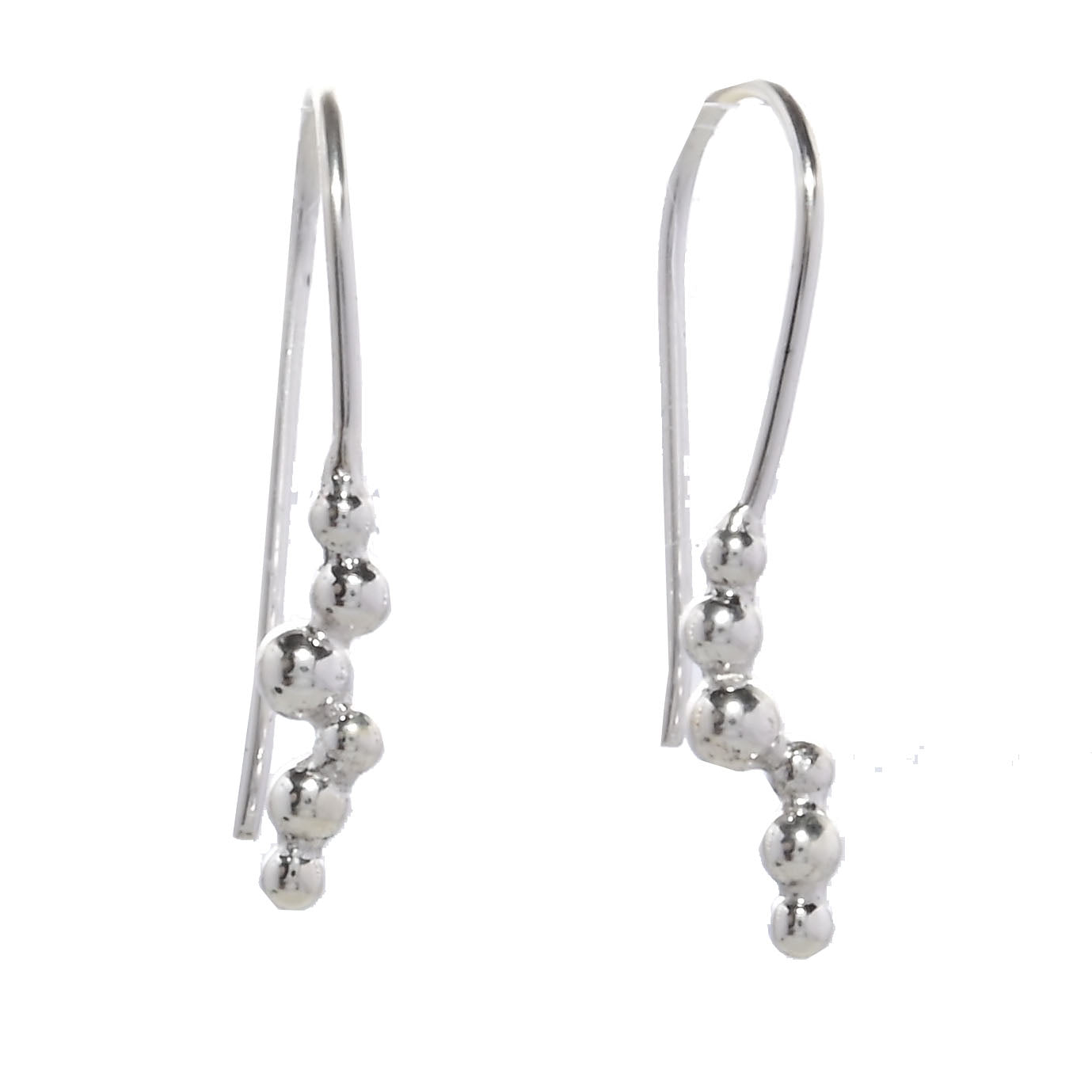 Euro Silver Earrings IAE102213