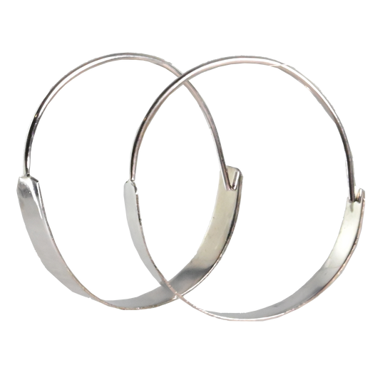 Euro Silver Earrings IAE32318