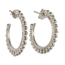 Euro Silver Earrings IAE2229
