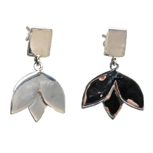 Euro Silver Earrings IAE42305