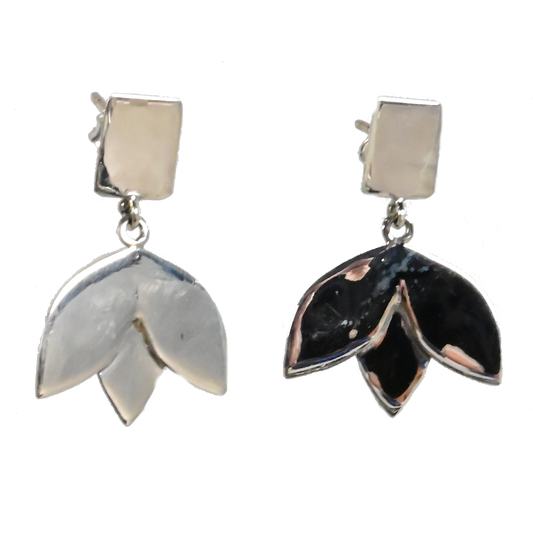 Euro Silver Earrings IAE42305