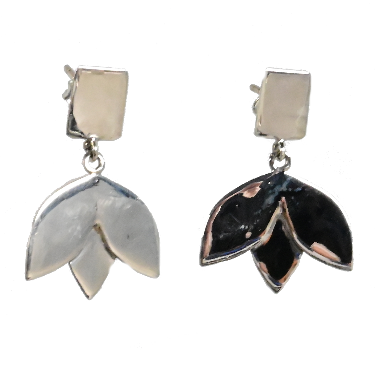 Euro Silver Earrings IAE42305