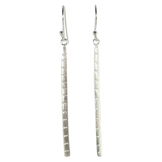 Euro Silver Earrings IAE112222