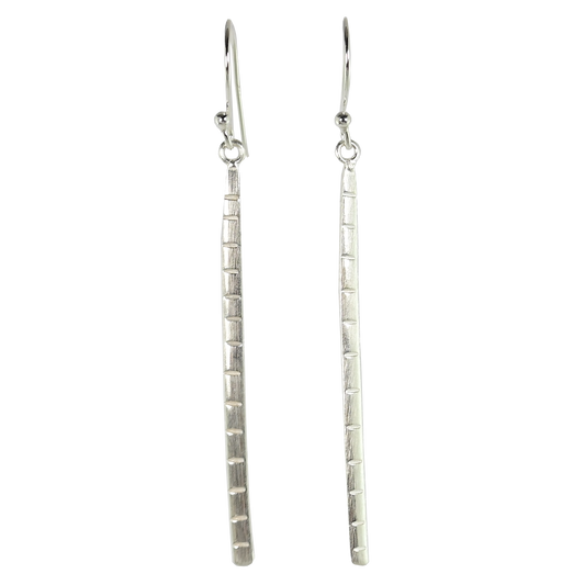 Euro Silver Earrings IAE112222
