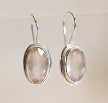 Long Gemstone Hook Earrings Lux
